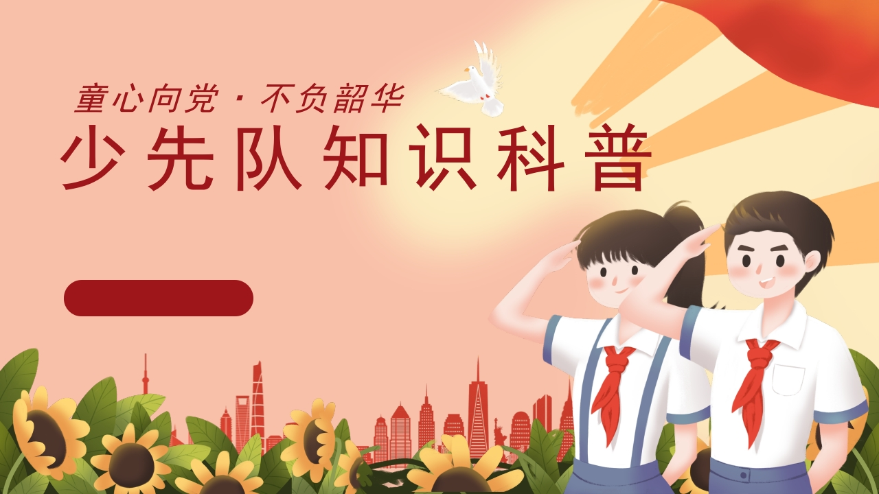 20.少先队知识科普-教务资料网