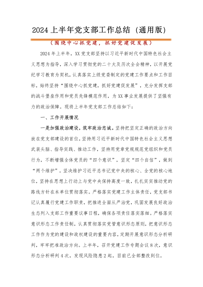 2024上半年党支部工作总结（通用版）-教务资料网